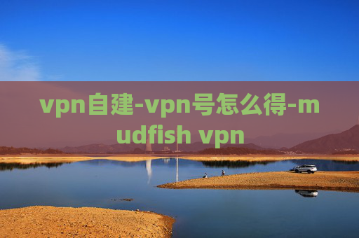 vpn自建-vpn号怎么得-mudfish vpn