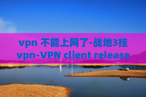 vpn 不能上网了-战地3挂vpn-VPN client release