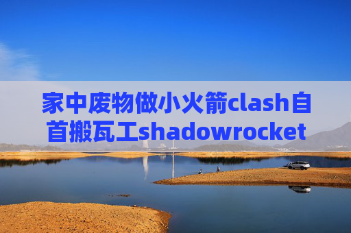 家中废物做小火箭clash自首搬瓦工shadowrocket