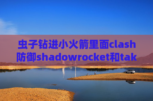 虫子钻进小火箭里面clash防御shadowrocket和take