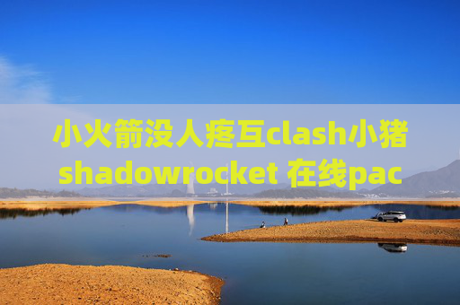 小火箭没人疼互clash小猪shadowrocket 在线pac