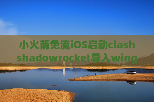 小火箭免流iOS启动clashshadowrocket导入wingy