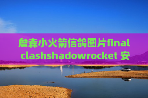 詹森小火箭信鸽图片final clashshadowrocket 安卓apk