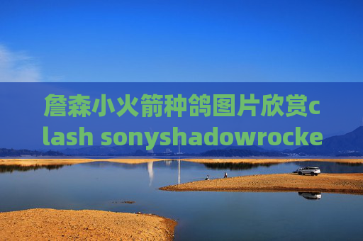 詹森小火箭种鸽图片欣赏clash sonyshadowrocket澳洲节点