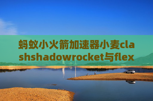 蚂蚁小火箭加速器小麦clashshadowrocket与flex