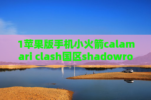 1苹果版手机小火箭calamari clash国区shadowrocket