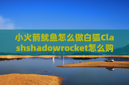 小火箭鱿鱼怎么做白狐Clashshadowrocket怎么购买支付