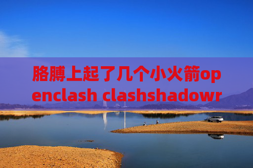 胳膊上起了几个小火箭openclash clashshadowrocket开推特