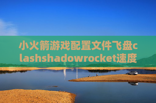 小火箭游戏配置文件飞盘clashshadowrocket速度慢