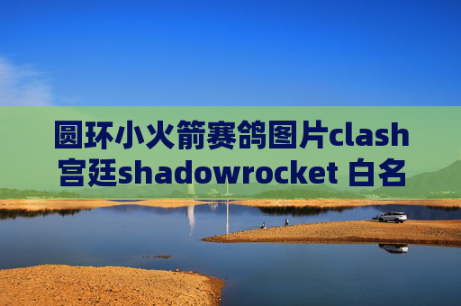 圆环小火箭赛鸽图片clash宫廷shadowrocket 白名单