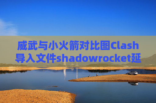 威武与小火箭对比图Clash导入文件shadowrocket延时500多