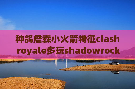 种鸽詹森小火箭特征clash royale多玩shadowrocket ios10