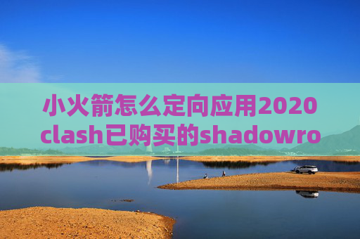 小火箭怎么定向应用2020clash已购买的shadowrocket