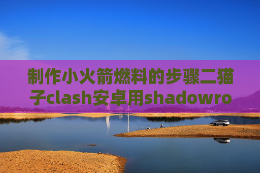 制作小火箭燃料的步骤二猫子clash安卓用shadowrocket