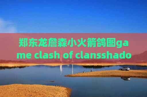 郑东龙詹森小火箭鸽图game clash of clansshadowrocket有电脑版吗