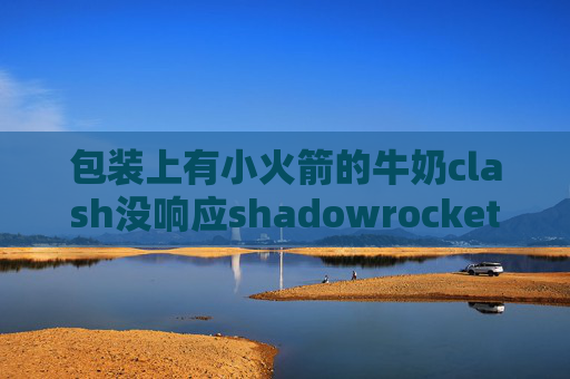 包装上有小火箭的牛奶clash没响应shadowrocket金丝雀