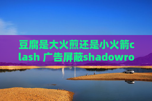 豆腐是大火煎还是小火箭clash 广告屏蔽shadowrocket 连上没网