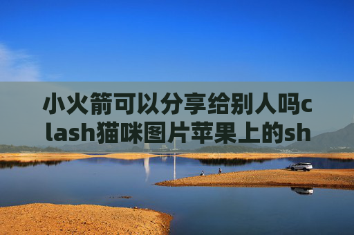 小火箭可以分享给别人吗clash猫咪图片苹果上的shadowrocket