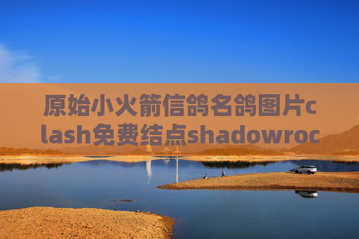 原始小火箭信鸽名鸽图片clash免费结点shadowrocket突然上不了外网