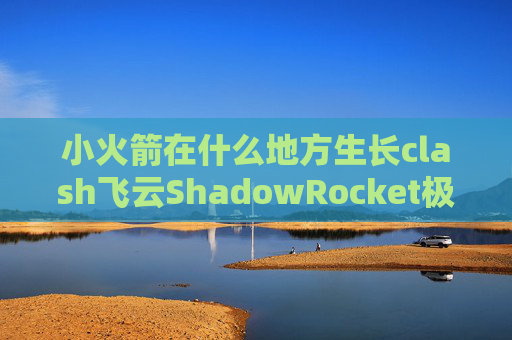 小火箭在什么地方生长clash飞云ShadowRocket极速网络助手