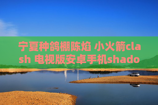 宁夏种鸽棚陈焰 小火箭clash 电视版安卓手机shadowrocket怎么下载