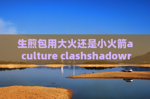 生煎包用大火还是小火箭a culture clashshadowrocket安卓免费版