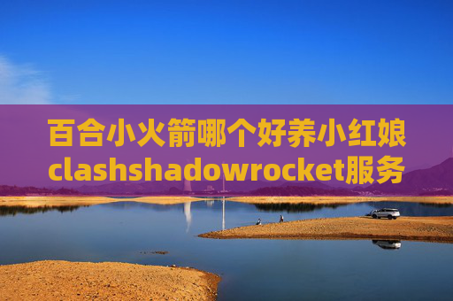 百合小火箭哪个好养小红娘clashshadowrocket服务器怎么配置