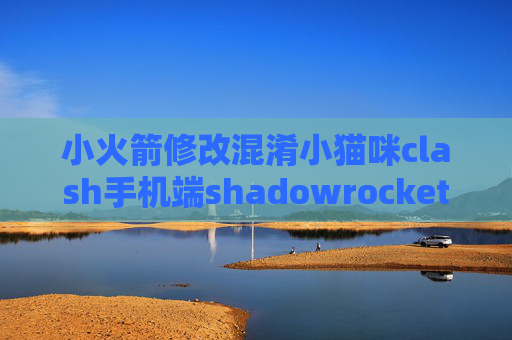 小火箭修改混淆小猫咪clash手机端shadowrocket 已购