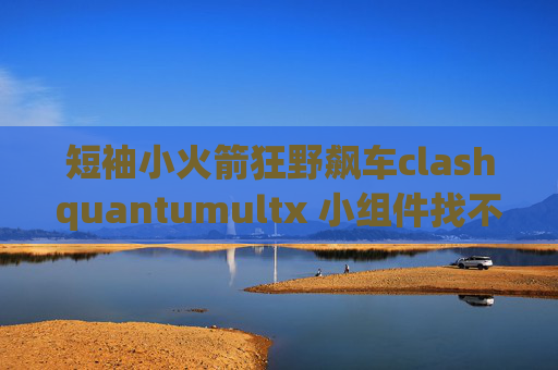 短袖小火箭狂野飙车clashquantumultx 小组件找不到