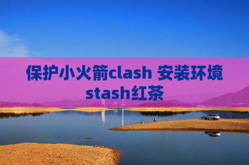 保护小火箭clash 安装环境stash红茶