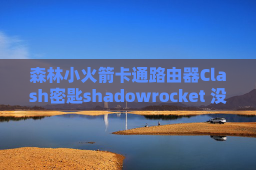 森林小火箭卡通路由器Clash密匙shadowrocket 没有了