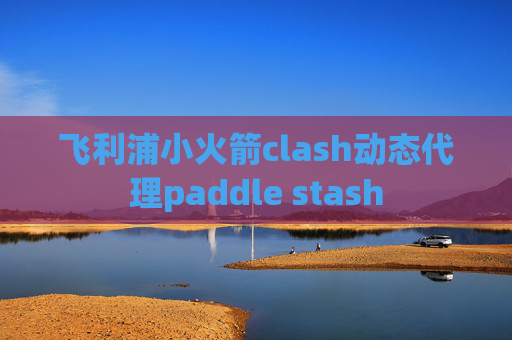 飞利浦小火箭clash动态代理paddle stash