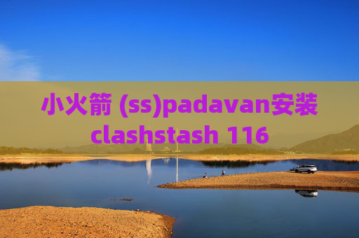 小火箭 (ss)padavan安装clashstash 116