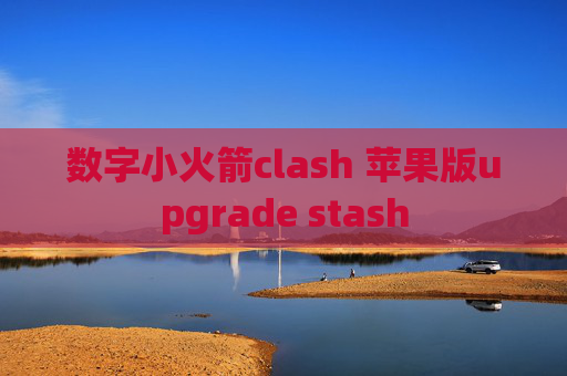 数字小火箭clash 苹果版upgrade stash