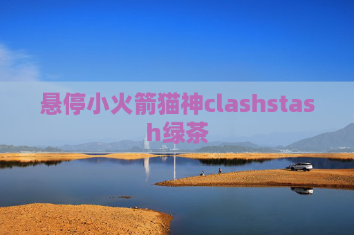 悬停小火箭猫神clashstash绿茶