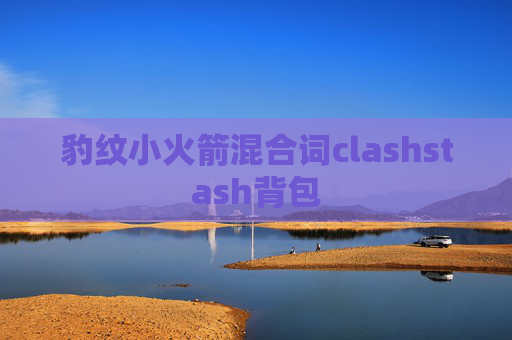 豹纹小火箭混合词clashstash背包