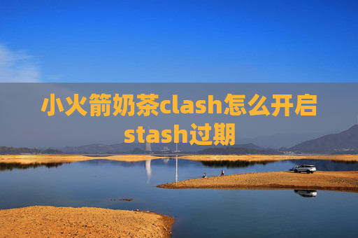 小火箭奶茶clash怎么开启stash过期