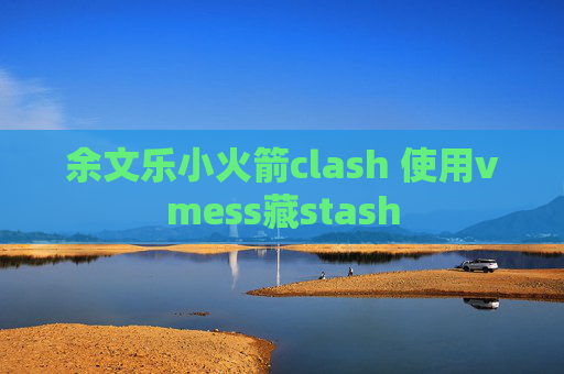 余文乐小火箭clash 使用vmess藏stash