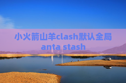 小火箭山羊clash默认全局anta stash