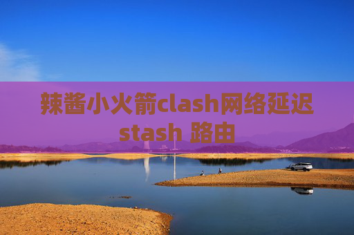 辣酱小火箭clash网络延迟stash 路由