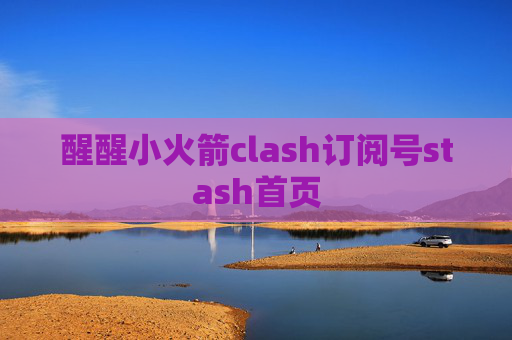 醒醒小火箭clash订阅号stash首页