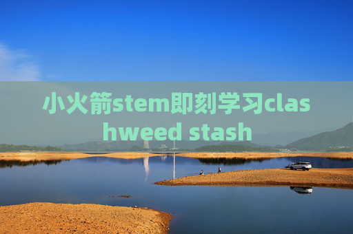 小火箭stem即刻学习clashweed stash