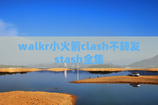 walkr小火箭clash不转发stash全集