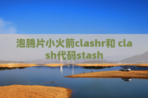 泡腾片小火箭clashr和 clash代码stash