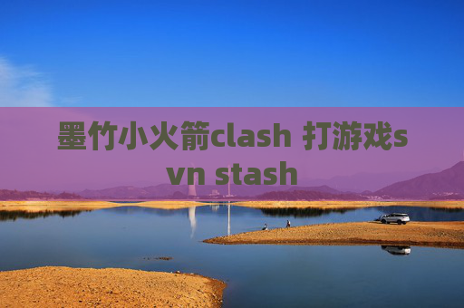 墨竹小火箭clash 打游戏svn stash