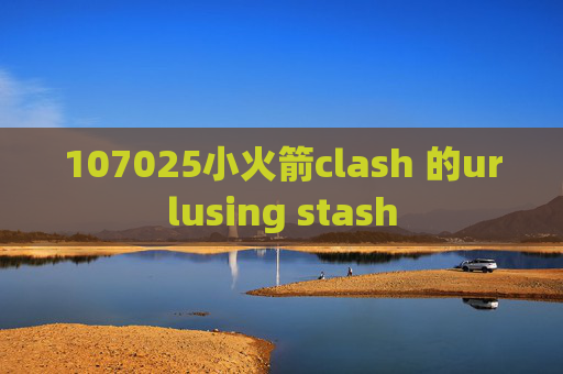 107025小火箭clash 的urlusing stash