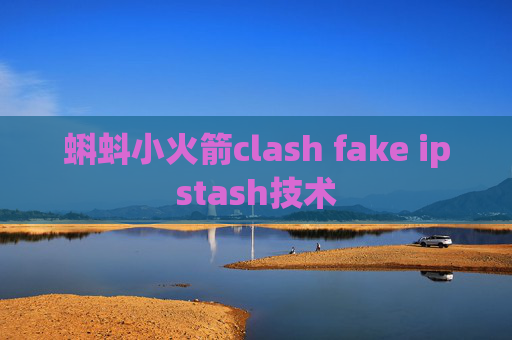 蝌蚪小火箭clash fake ipstash技术