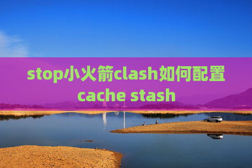 stop小火箭clash如何配置cache stash