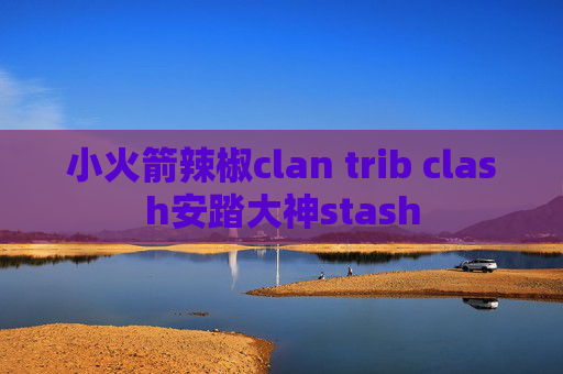 小火箭辣椒clan trib clash安踏大神stash