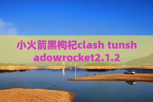 小火箭黑枸杞clash tunshadowrocket2.1.2